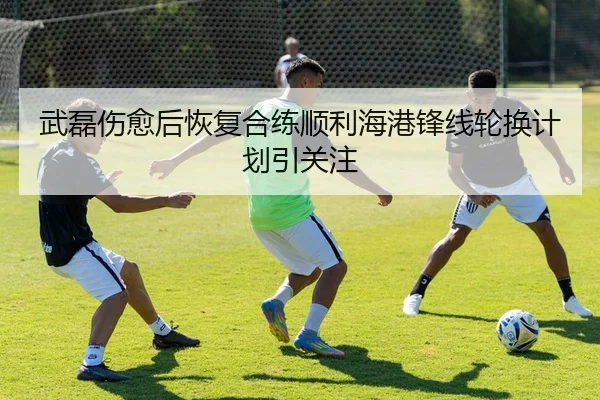武磊伤愈后恢复合练顺利海港锋线轮换计划引关注